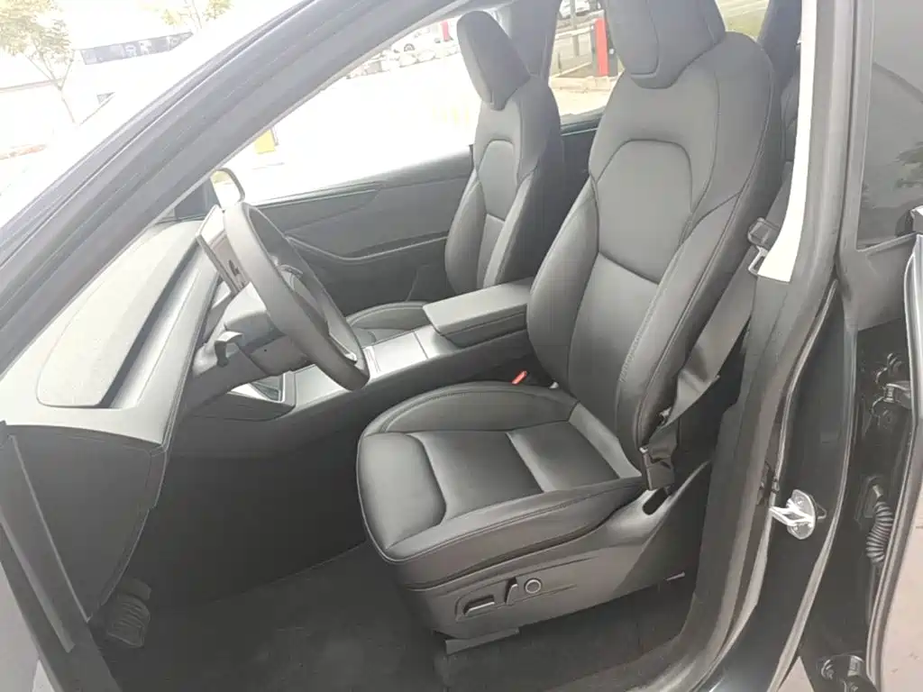 Tesla Model Y — миниатюра 15