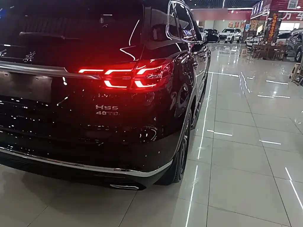 Hongqi Hongqi HS5 — миниатюра 8