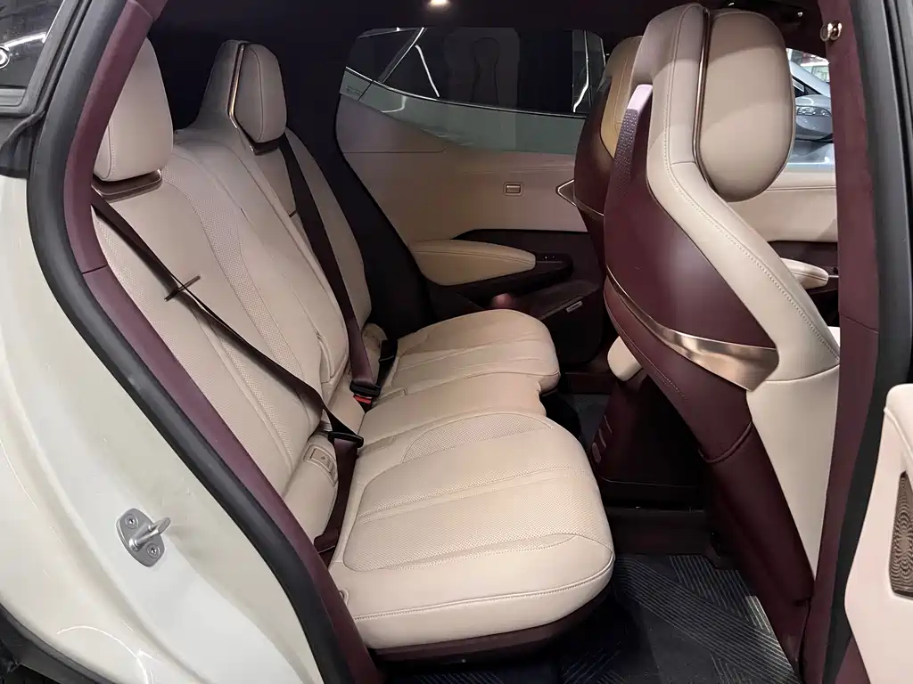 ZEEKR EXTREME KRYPTON X