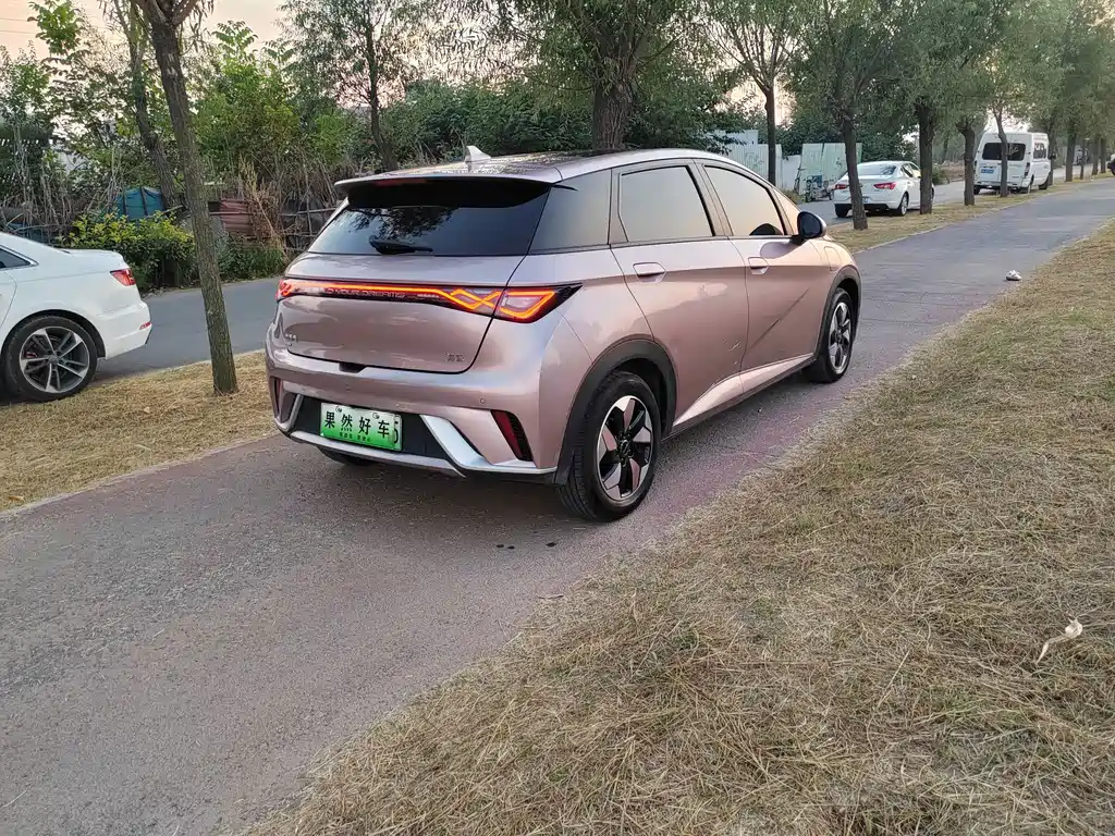 BYD Dolphin — миниатюра 6