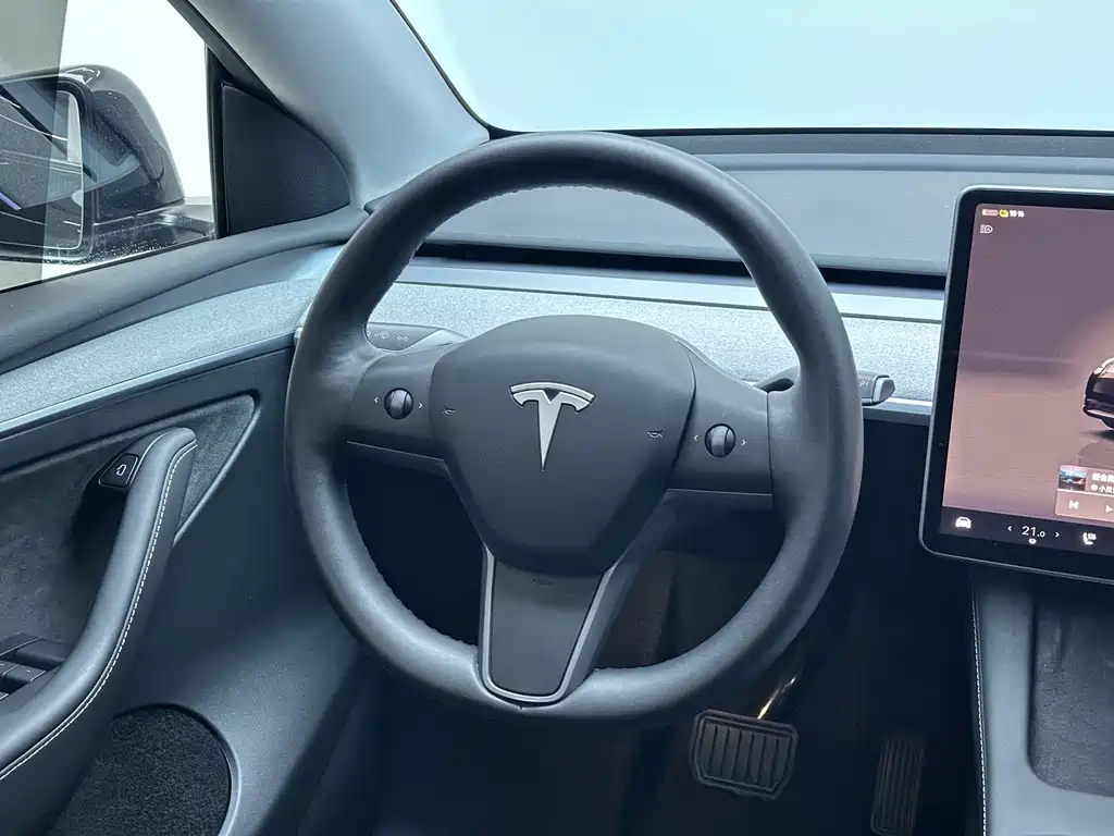 Tesla Model Y — миниатюра 19