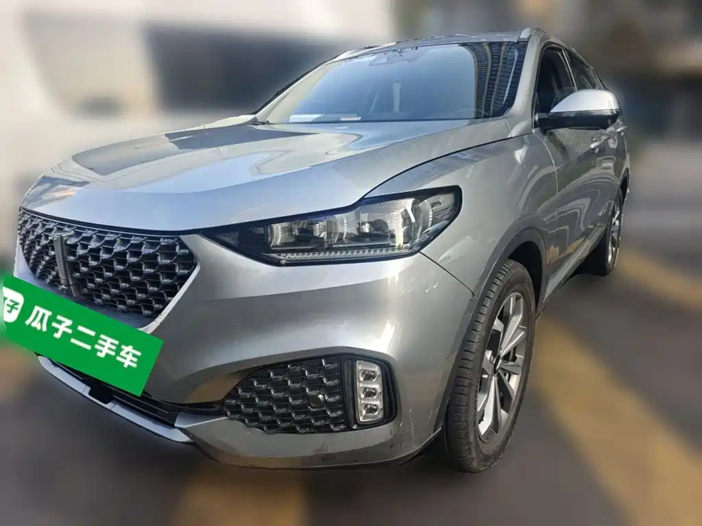 Wey Wey VV6
