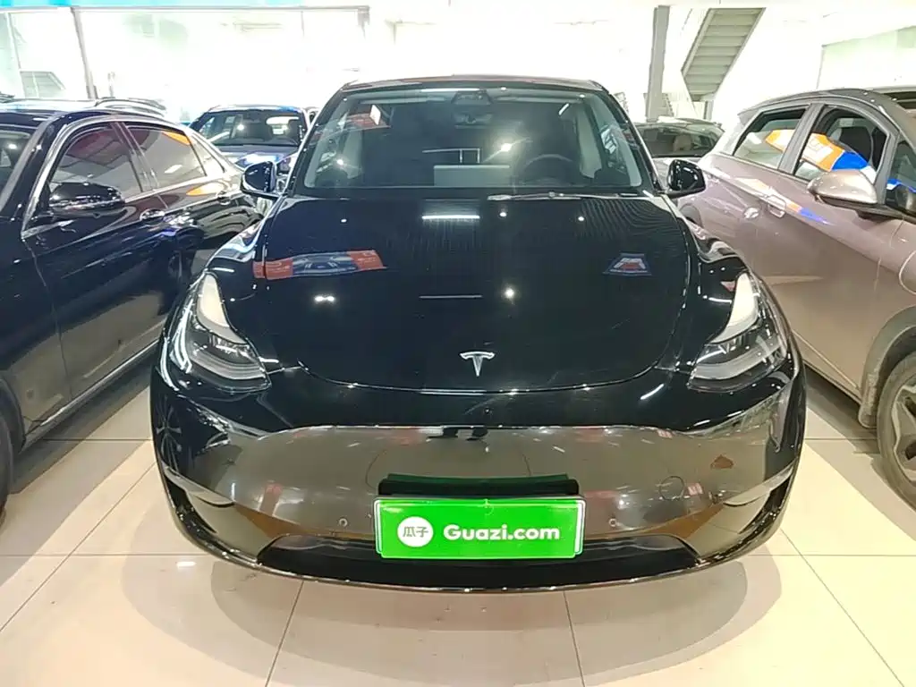 Tesla Model Y — миниатюра 3