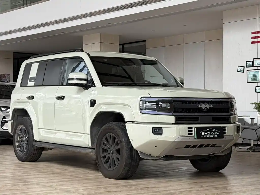 FANG CHENG BAO LEOPARD 5