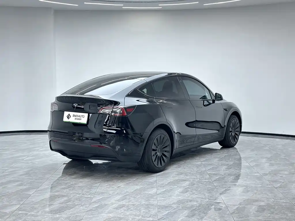 Tesla Model Y — миниатюра 6