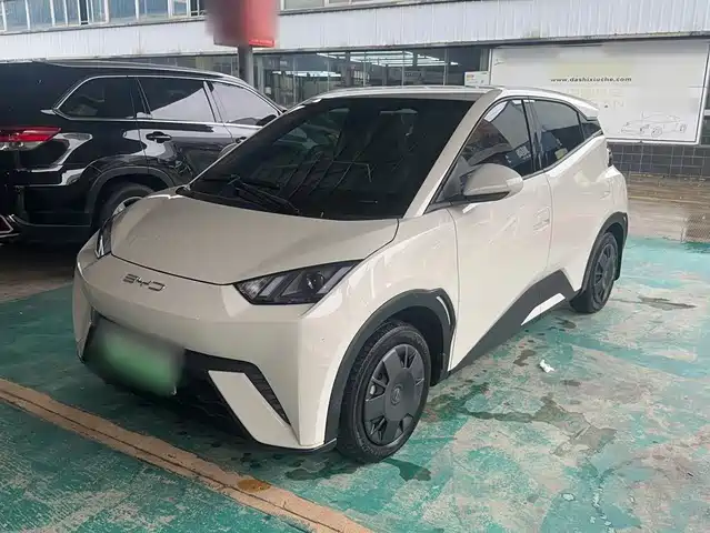 2024 BYD Seagull