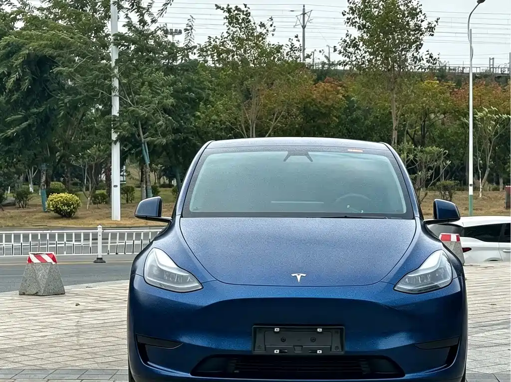 Tesla Model Y — миниатюра 2
