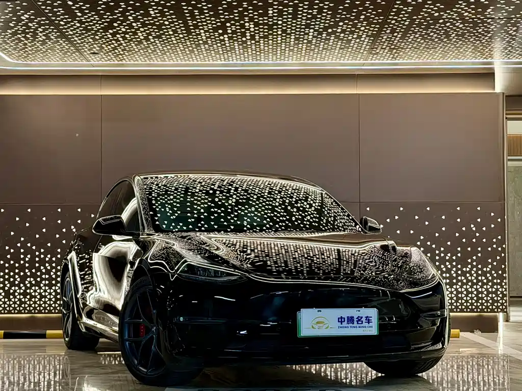 Tesla Model 3 2021 Performance 3D1