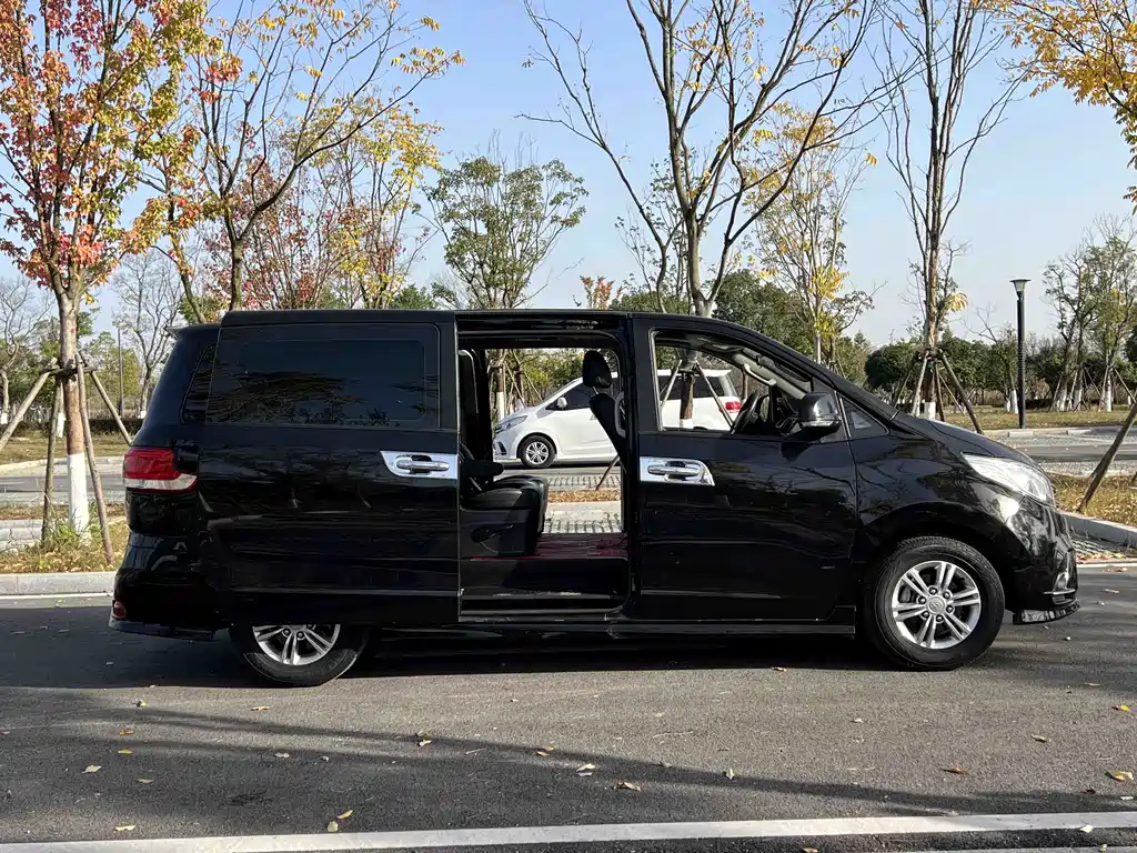 SAIC MAXUS CHASE G10