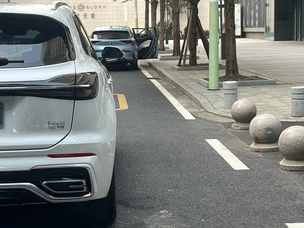Hongqi HS5 2023 2.0T Pro