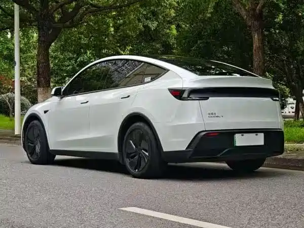 Tesla Model Y — миниатюра 7