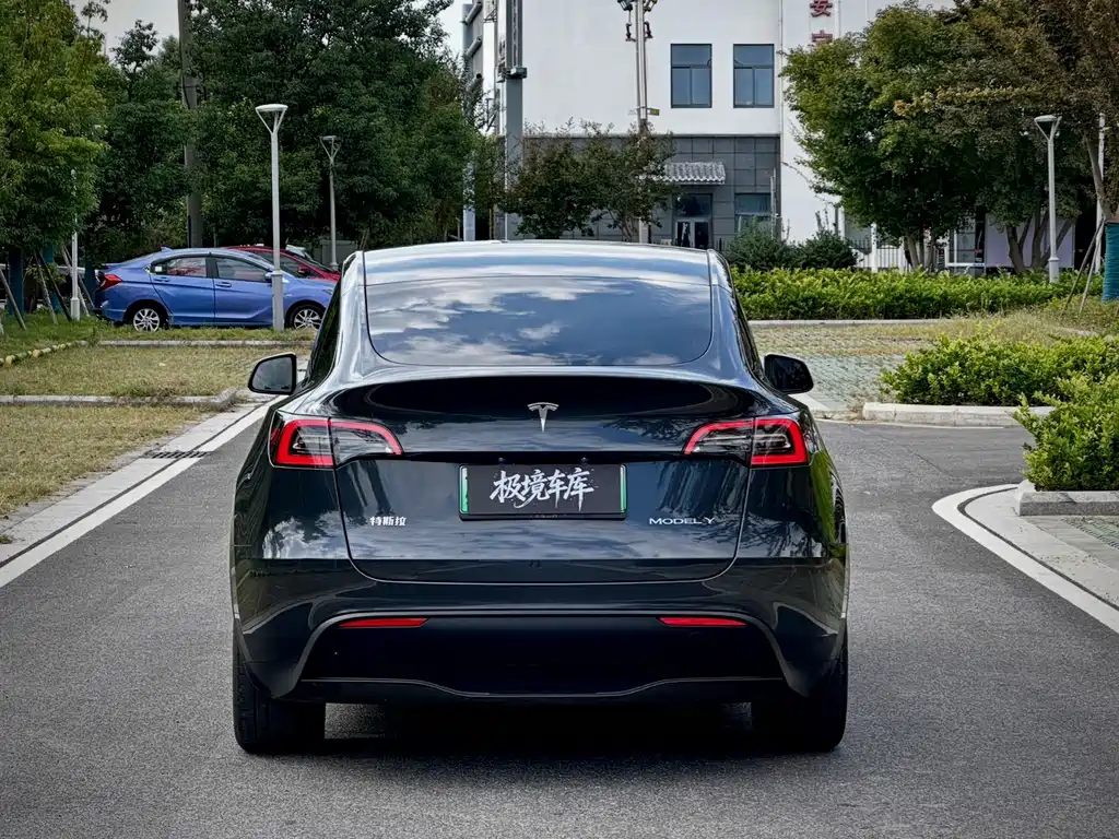 Tesla Model Y — миниатюра 8