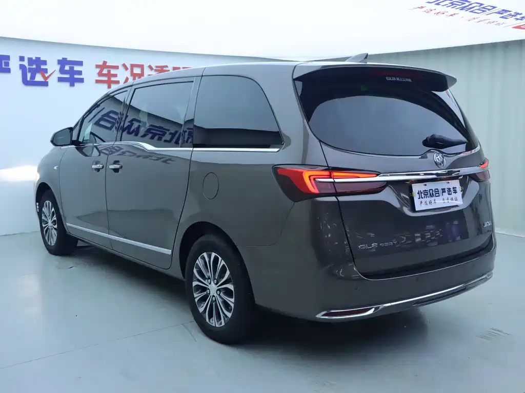 Buick GL8 Land Business Class 652T Luxury Type, фото 25