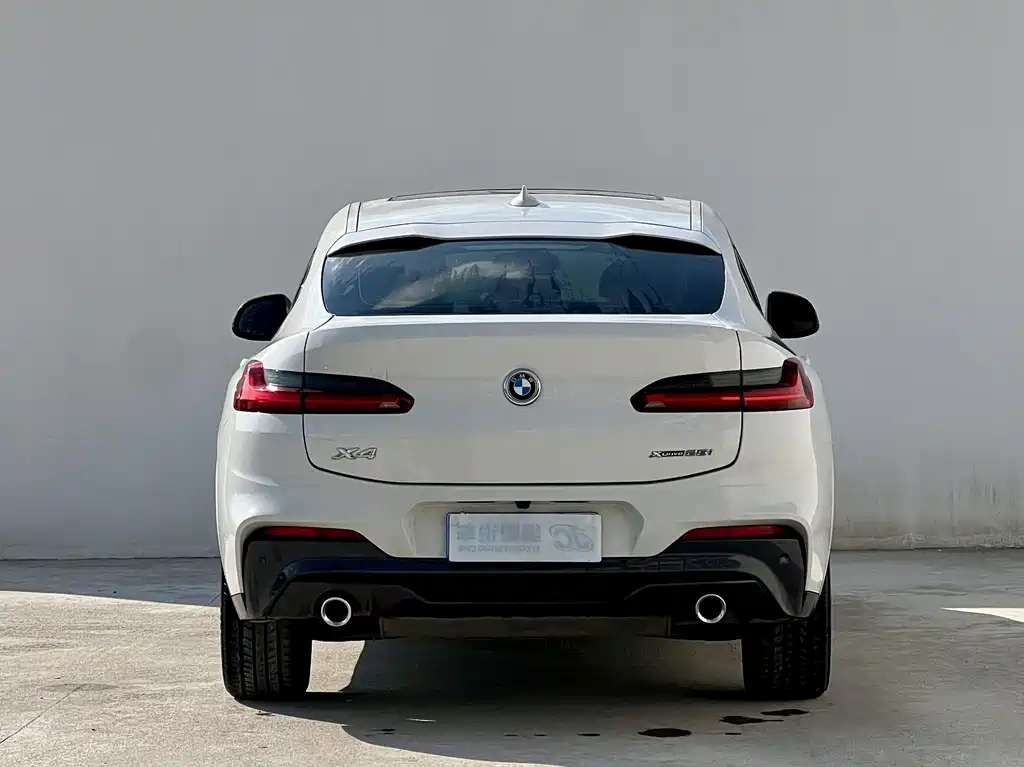 BMW X4 — миниатюра 3