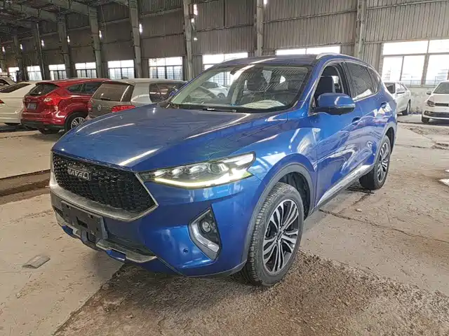 2019 Haval F7
