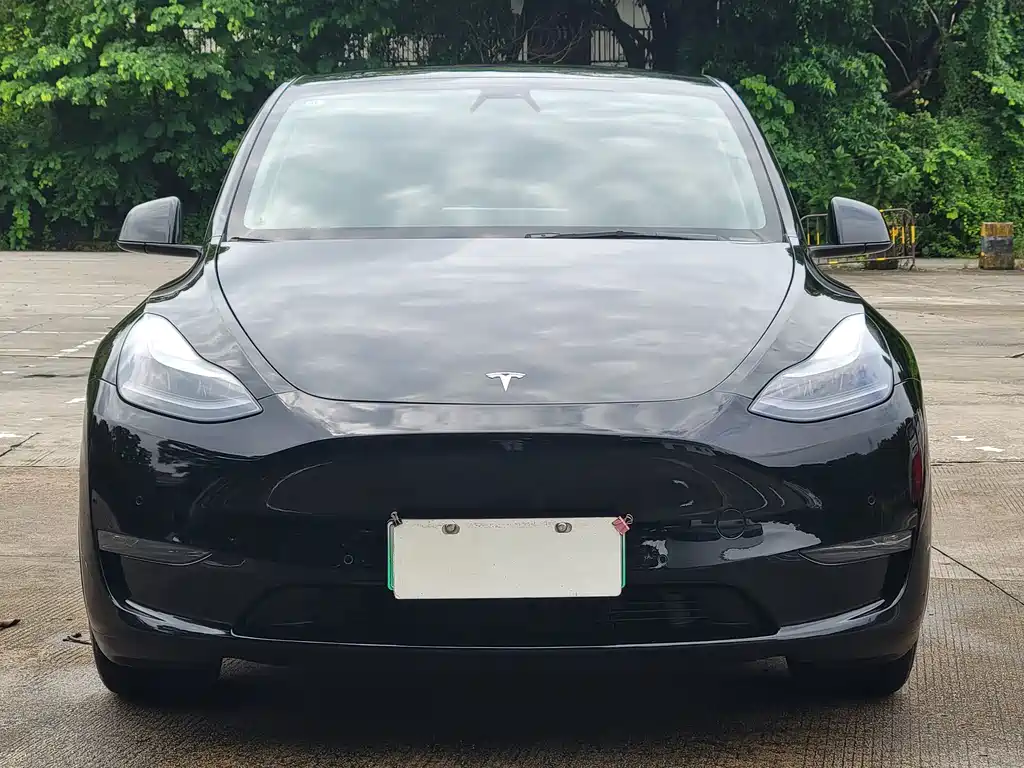 Tesla Model Y — миниатюра 2