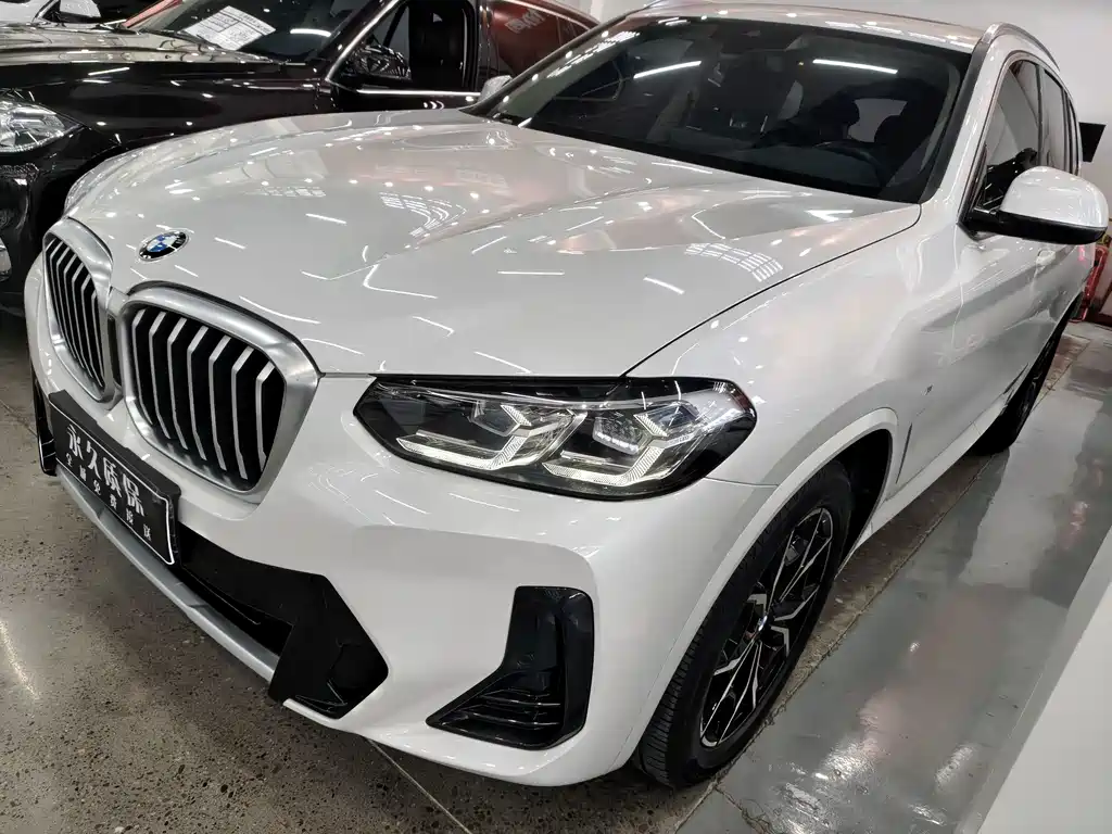 BMW X3 — миниатюра 7