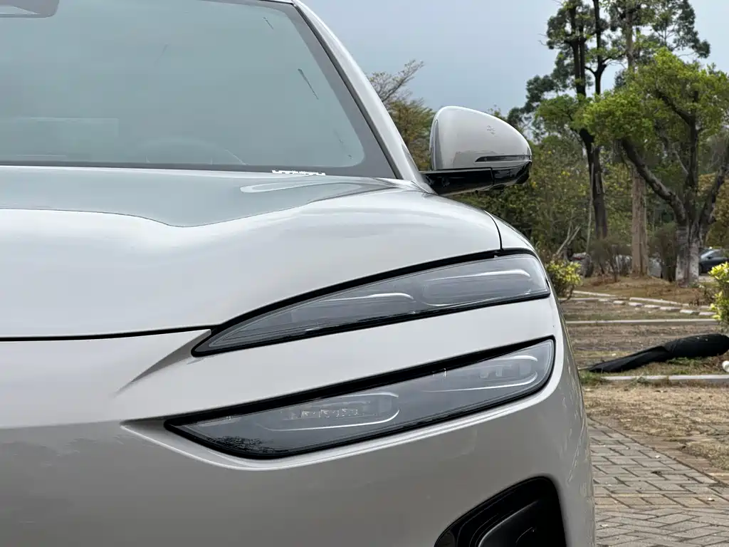 BYD SEA LION 06 NEW ENERGY