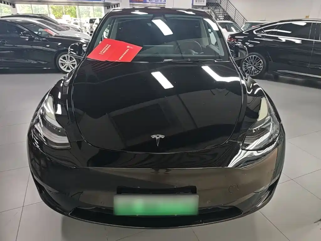 Tesla Model Y — миниатюра 3