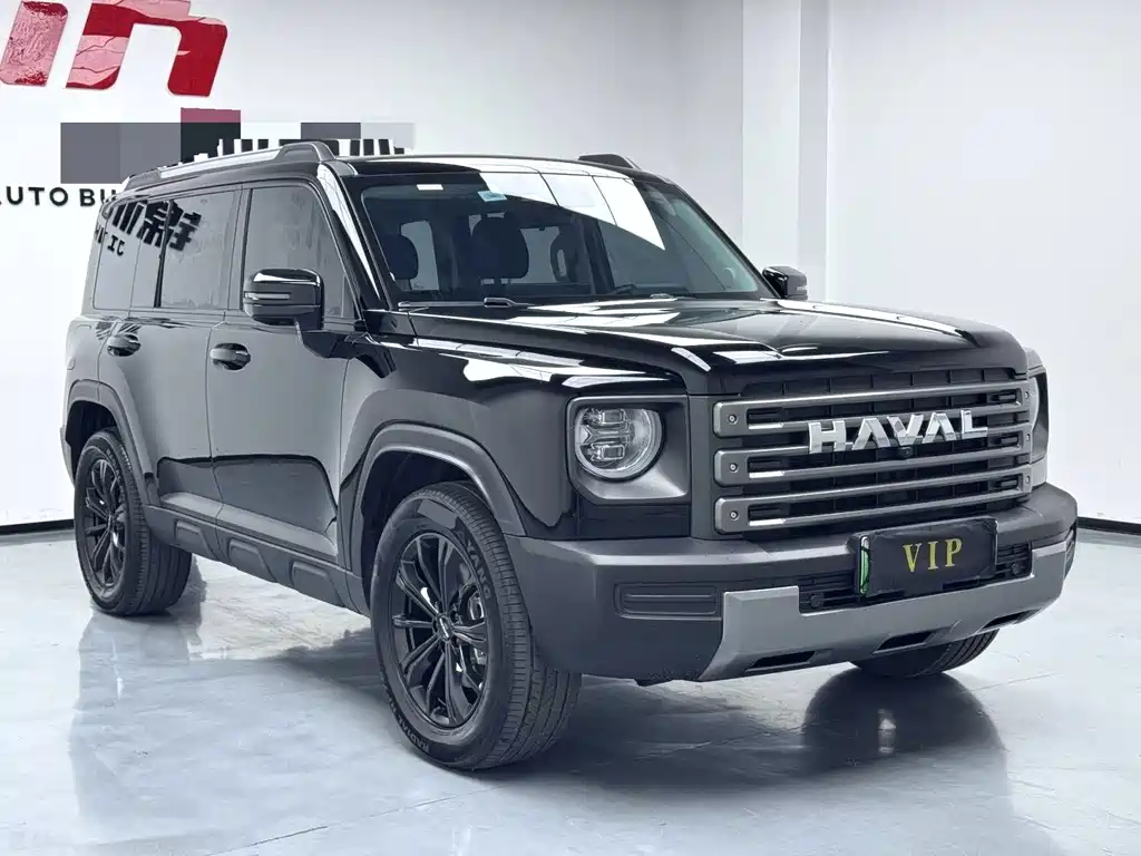Haval Menglong New Energy — миниатюра 3