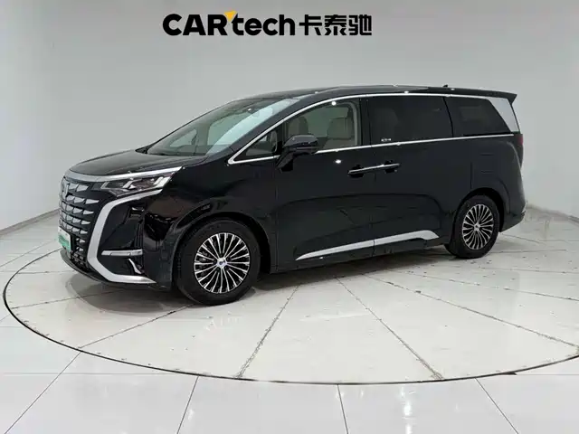 2025 Denza D9
