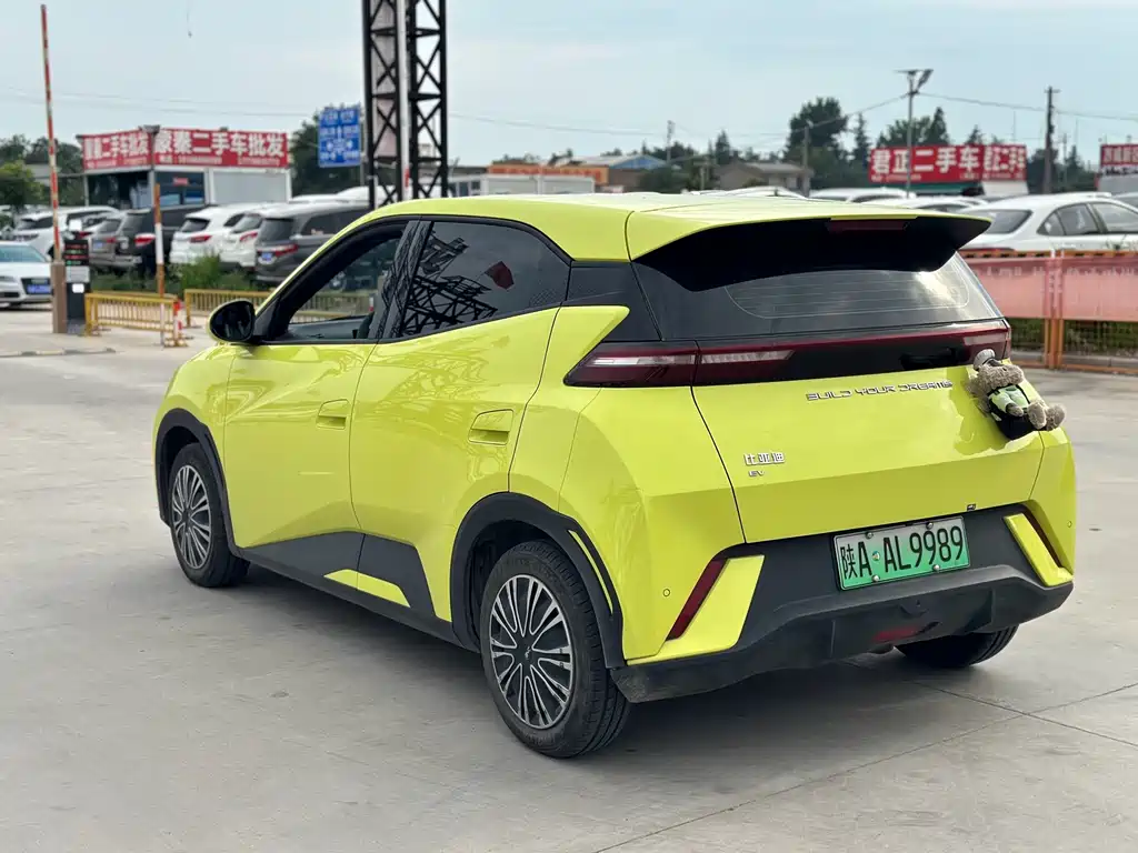 BYD Seagull