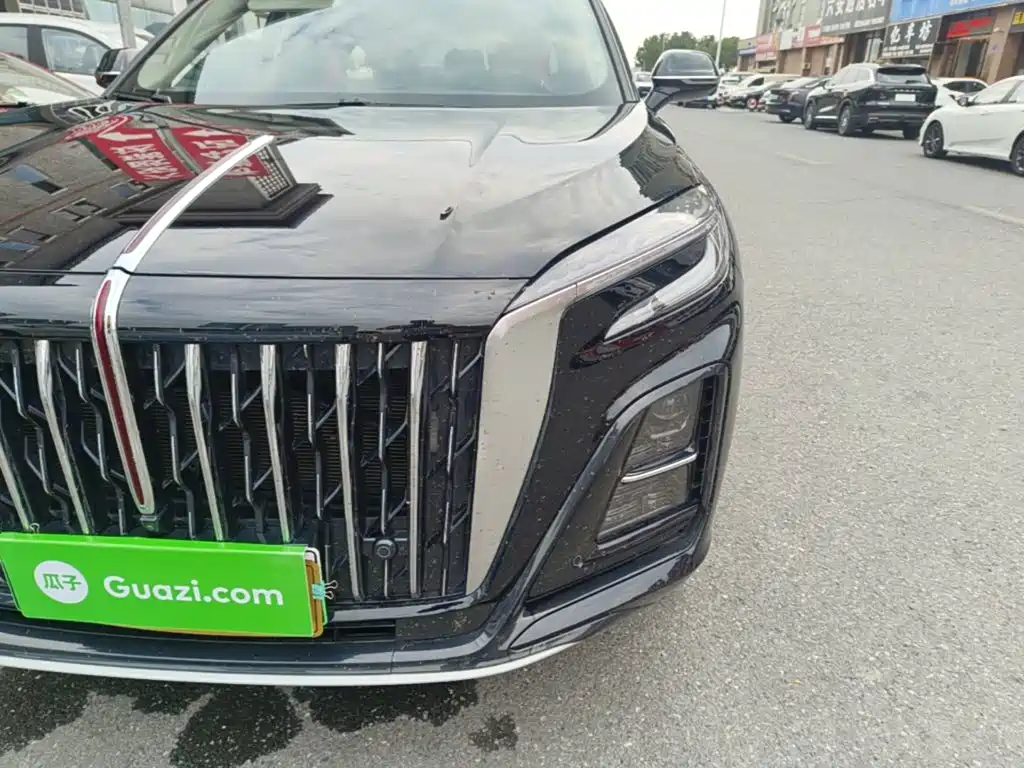 Hongqi Hongqi HS3 PHEV — миниатюра 24