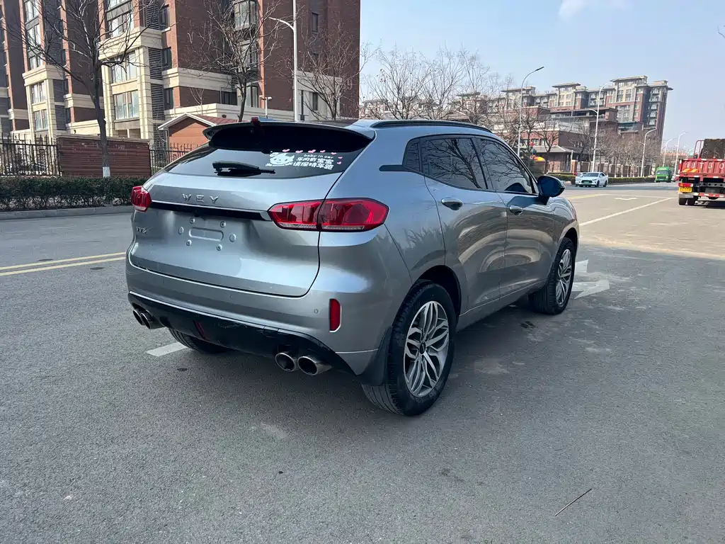 WEI PAI WEI BRAND VV5