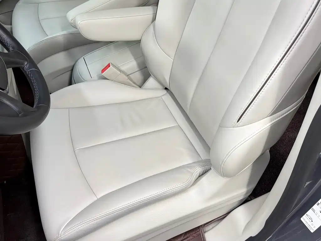 Buick GL8 — миниатюра 5
