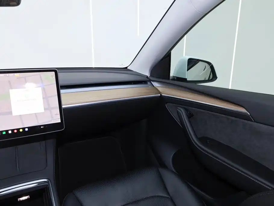 Tesla Model Y — миниатюра 26