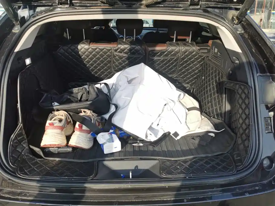 WEI PAI WEI BRAND VV7