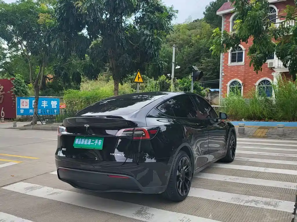 Tesla Model Y — миниатюра 11
