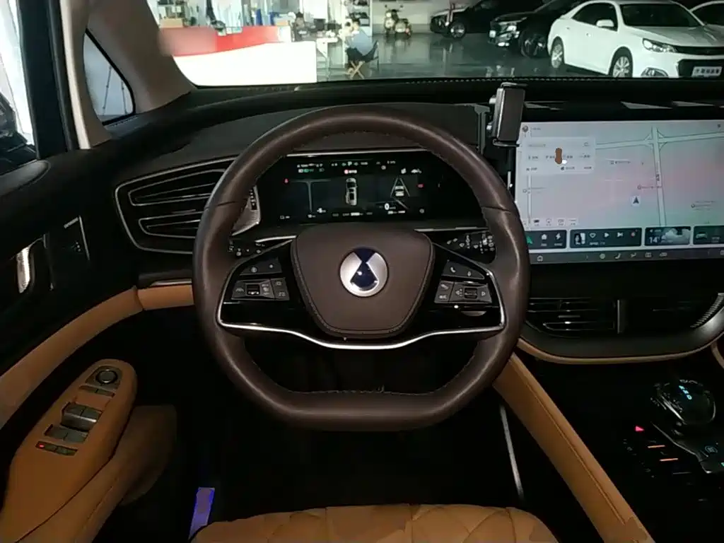 Denza Denza D9 — миниатюра 11