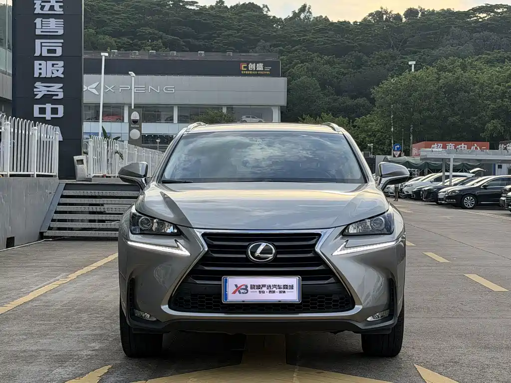 Lexus NX — миниатюра 2