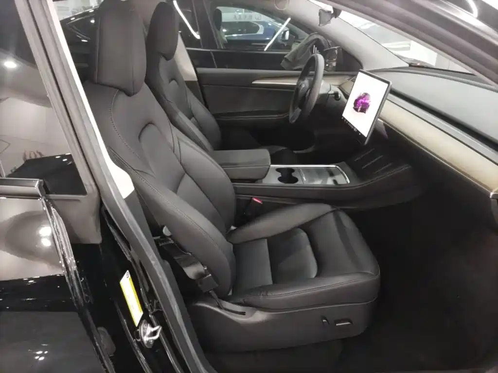 Tesla Model Y — миниатюра 25