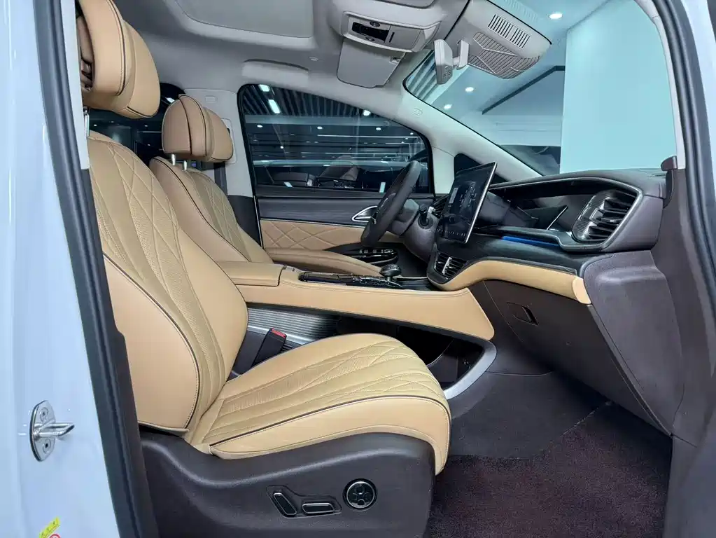 Denza Denza D9 — миниатюра 10