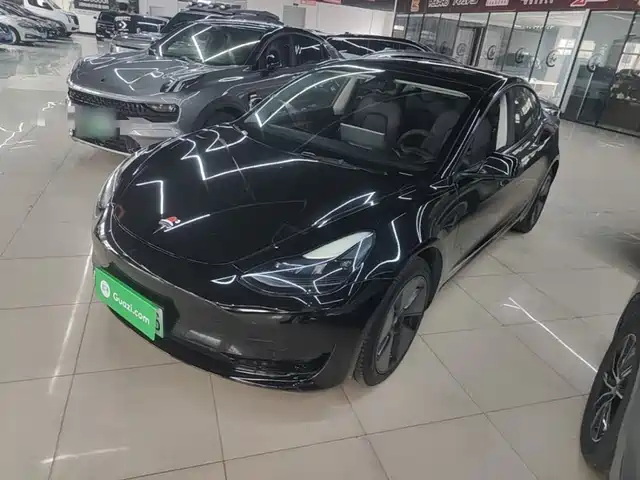 Tesla Model