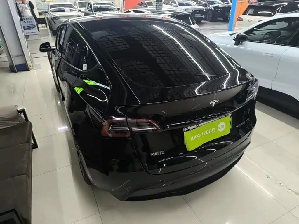 Tesla Model Y — миниатюра 23