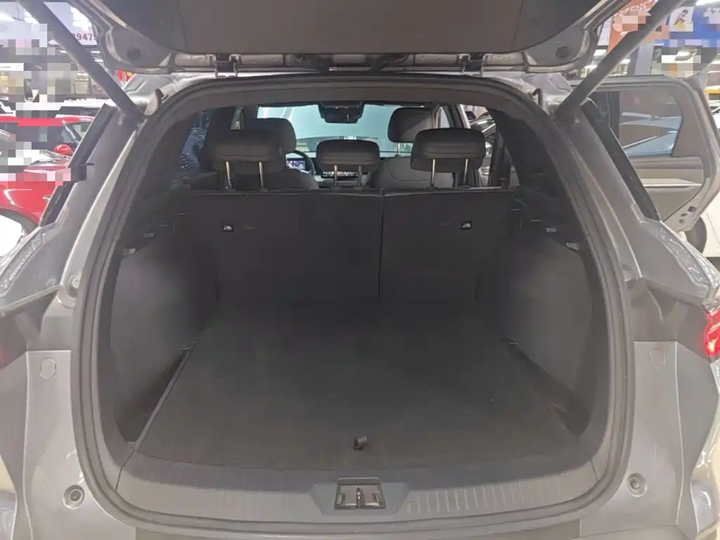 BYD Pro New Energy — миниатюра 19