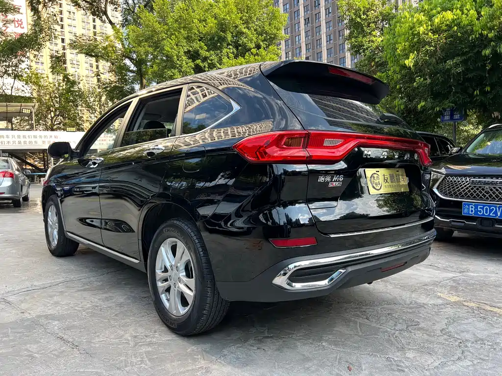 Haval M6 — миниатюра 17