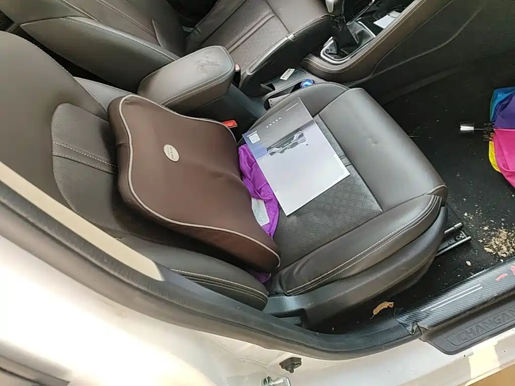 Changan Eado DT — миниатюра 25