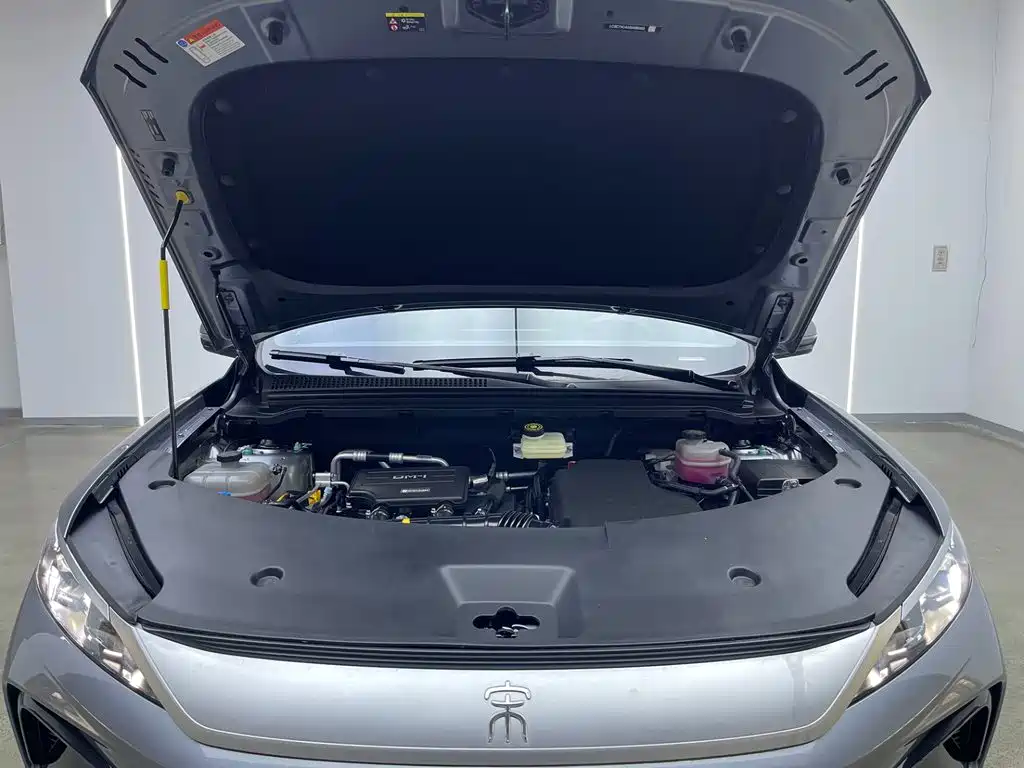 BYD Pro New Energy — миниатюра 30