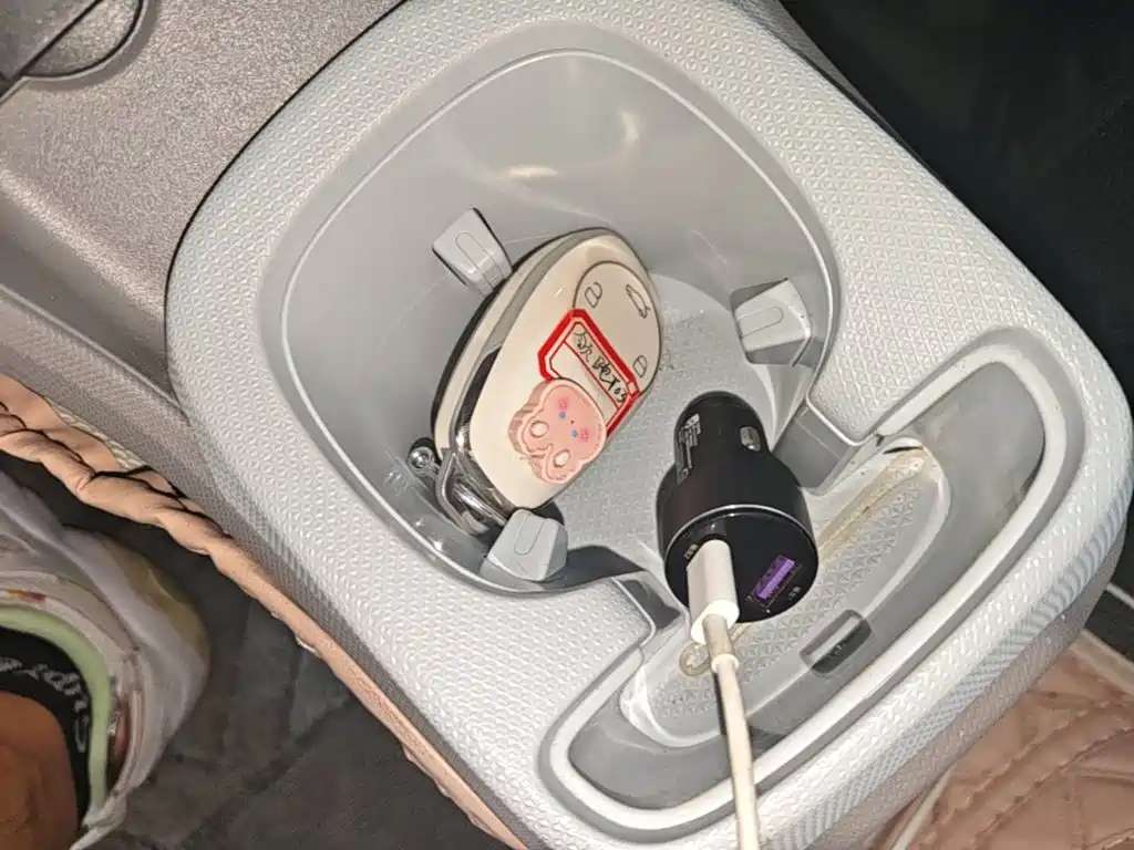 Leapmotor T03 2025 310