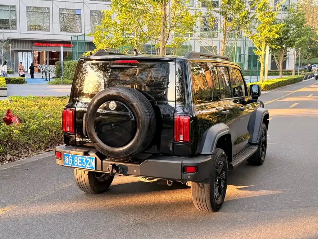 Tank Tank 300 — миниатюра 4