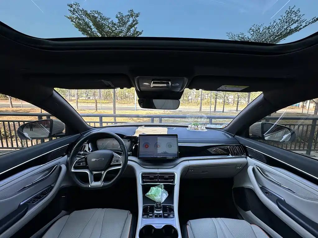 BYD SONGJIANG NEW ENERGY