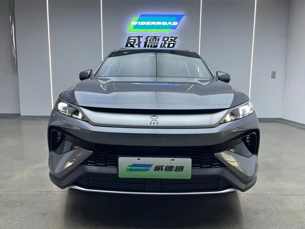 BYD Pro New Energy — миниатюра 2