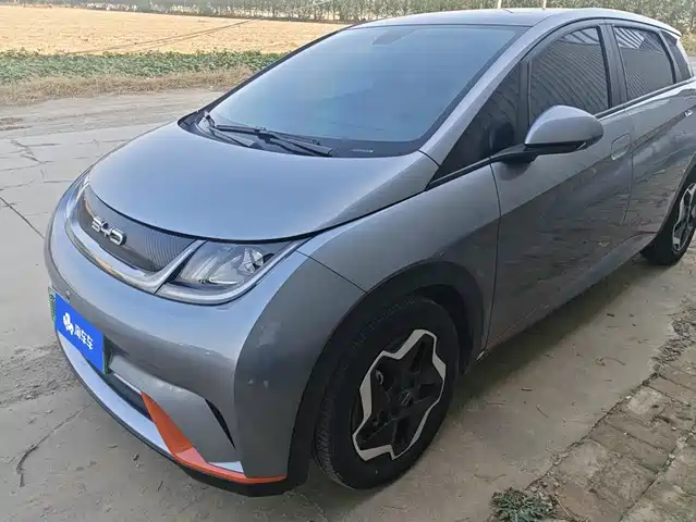 BYD Dolphin