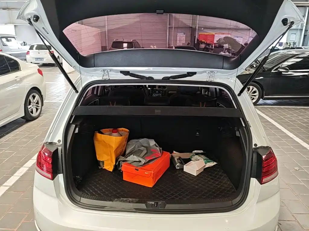 Volkswagen Golf — миниатюра 19
