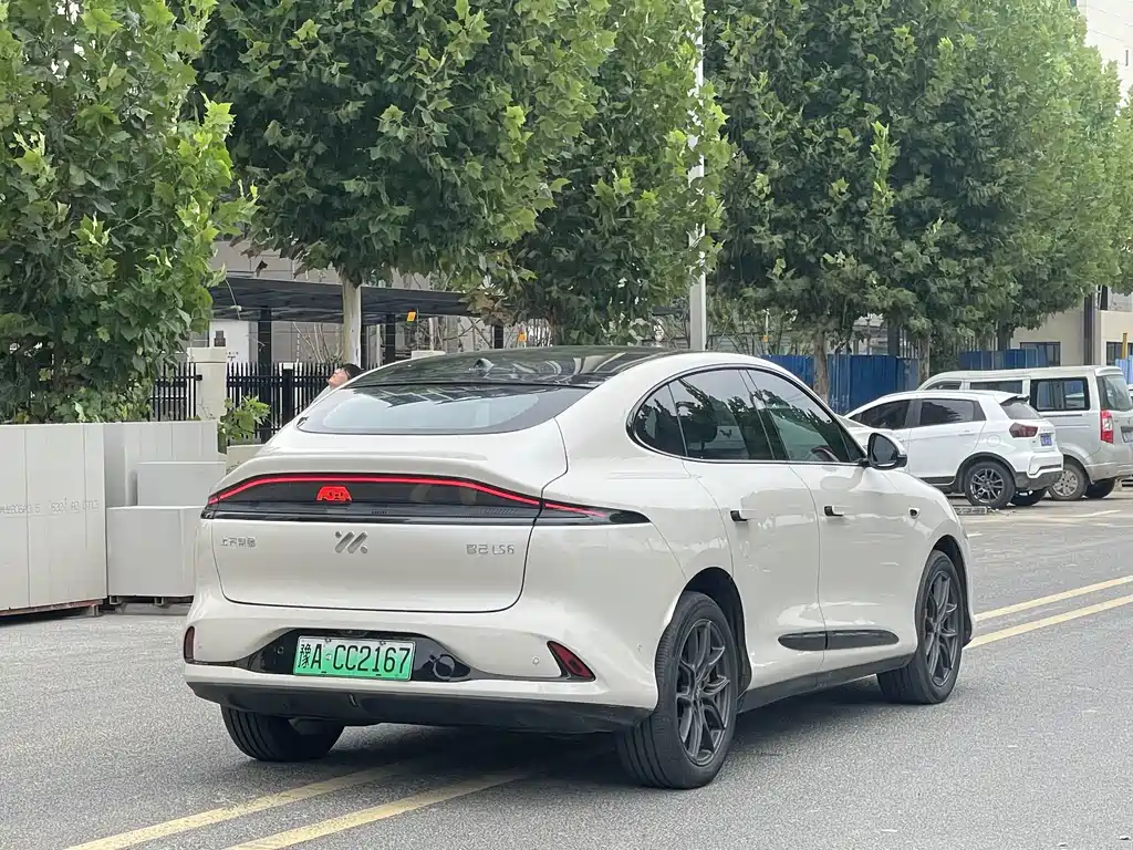 IM IM LS6 — миниатюра 9