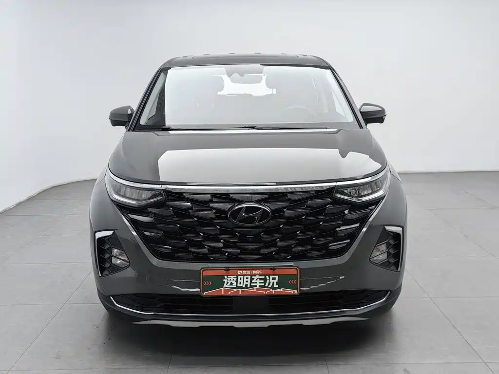 Hyundai Custo — миниатюра 3